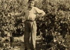 Copia_di_1957_vendemmia_(Custom)