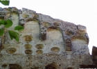 P1010069