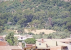 P1050173
