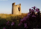 Torre costiera di Su Loi