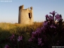 Torre costiera di Su Loi