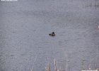 120404_poggio-018