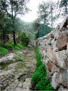 L’accidentata via di accesso alla sorgente di Santa Barbara, ricavata nell'affioramento granitico naturale e in parte solcata da antiche carrate